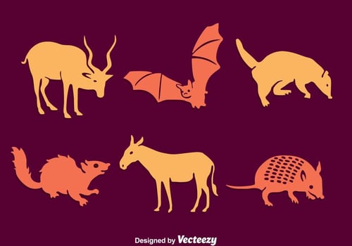 South America Silhouette Animal Vector