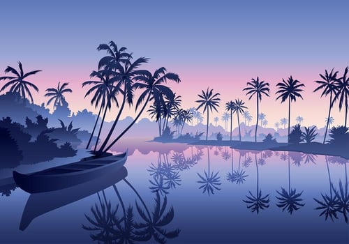 Kerala Backwater Landscape vector