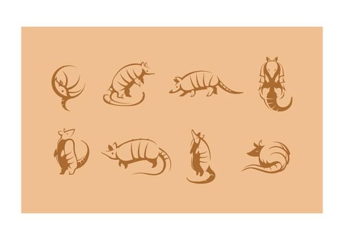 Free Armadillo Vector