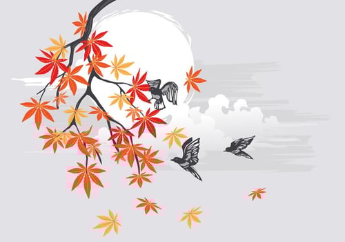 Autumn japanese maple with birds and beautiful landscape background vector