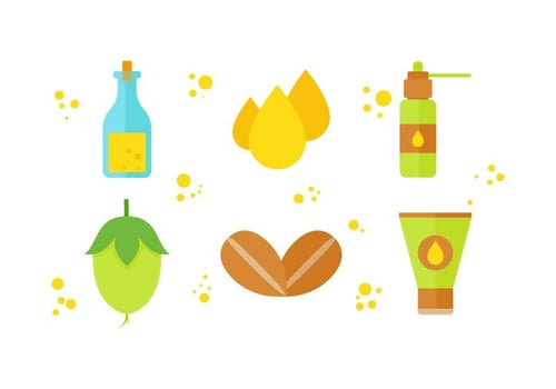 Free Outstanding Jojoba Vectors