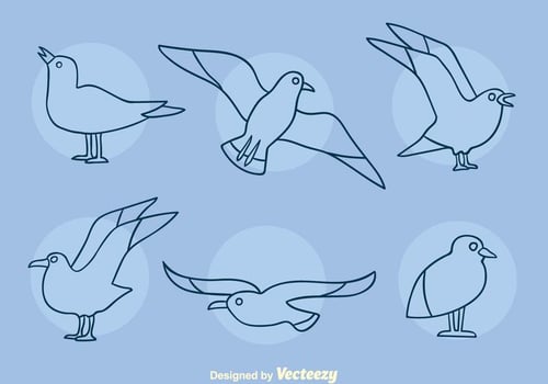 Albatross Line Icons Vector