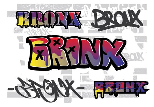 Bronx wall street art vector