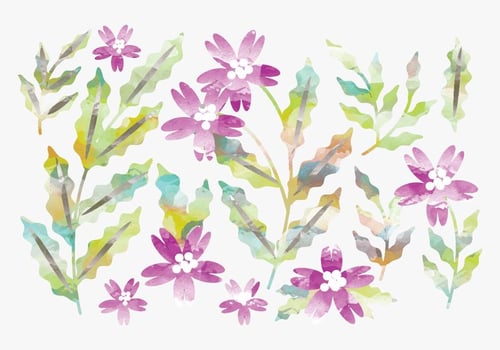 Vector Watercolor Flowers Set