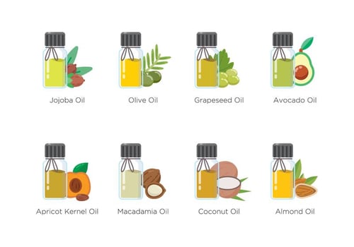 Free Essential Oils Icon vector