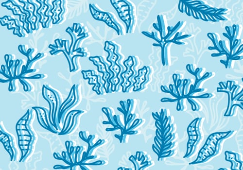 Sea Weed Illustration vector