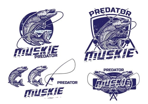 Muskie Logo Element vector