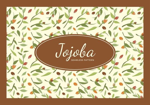 Jojoba Seamless Pattern Free Vector