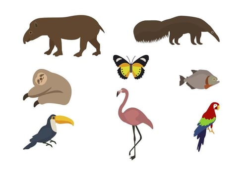 Flat Wild Animal Vectors