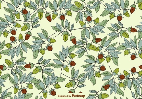 Vector SEAMLESS Pattern With Jojoba Plants