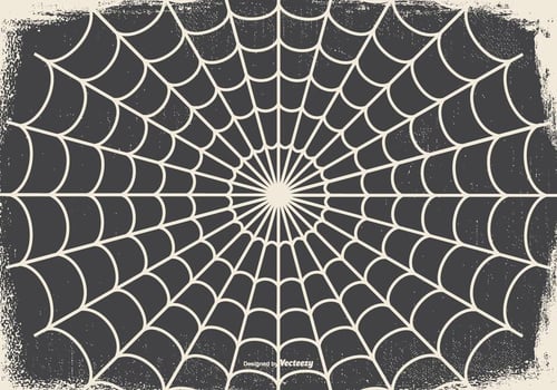 Old Spooky Halloween Spider Web Background vector