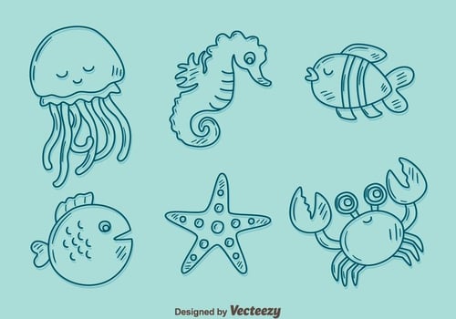 Sketch Sea Creature Collection Vector