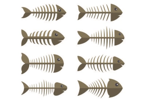 Set Of Fishbone Icons vector