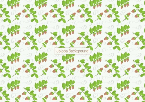 Jojoba Background vector