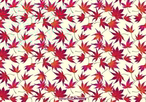Autumn Japanese Maple Leaves Background vector