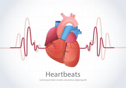 Human Heartbeats Illustration Background vector