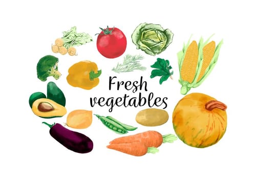 Watercolor Fresh Carrot Avocado Corn Tomatoes And Vegetables vector