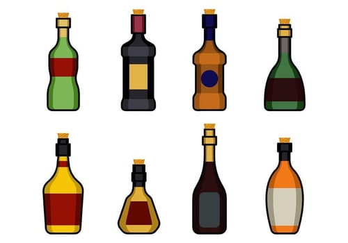Bottle With Stopper Icon vector
