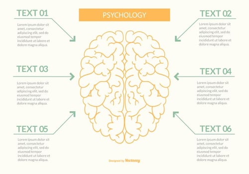 Flat Style Psychology Infographic Illustration vector