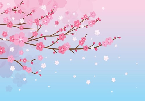 Plum Blossom Pink Background vector
