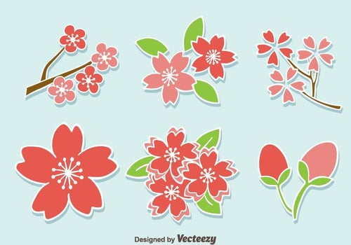 Plum Blossom Flower Vector