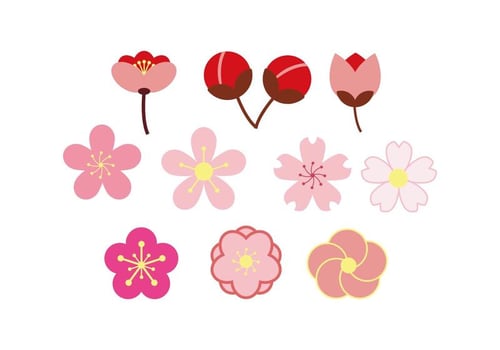 Free Blossom Colorful Icon Vector