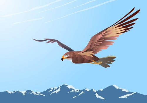 Buzzard Flying Over Mountains Vector