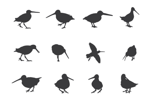 Snipe Silhouettes Vector