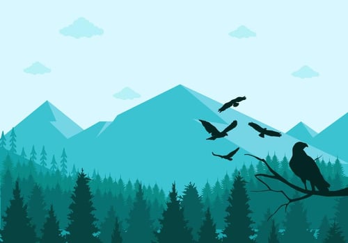 Buzzard Silhouette Vector 