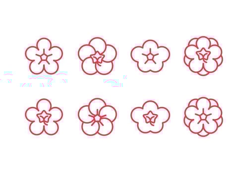 Plum blossom set icons vector