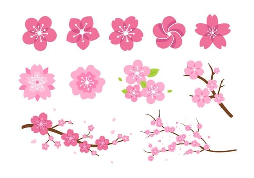 Pink Flower Blossom Vectors