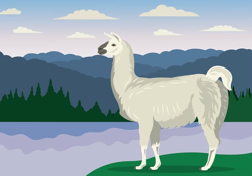Vector Illustration Of Llama 
