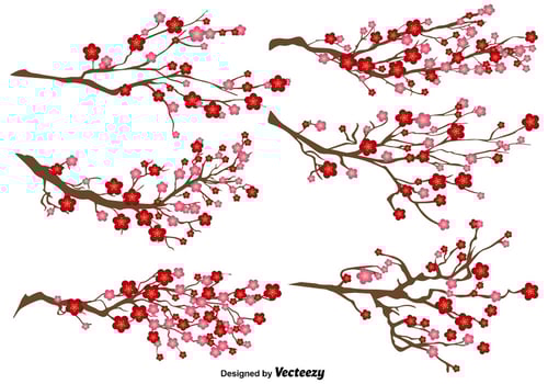 Japanese Plum Blossom Vector Set