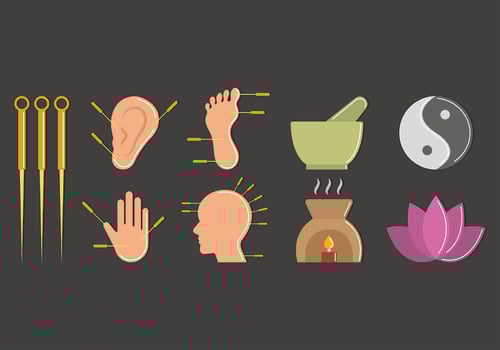 Set Of Acupuncture Icon vector
