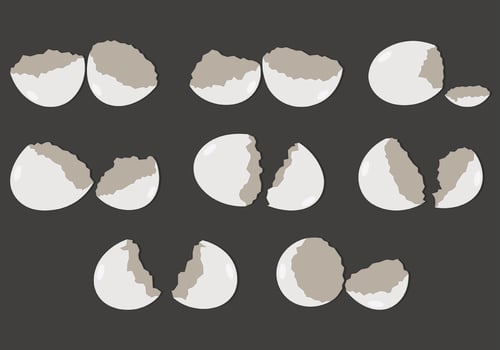 Set Of Broken Egg Vector