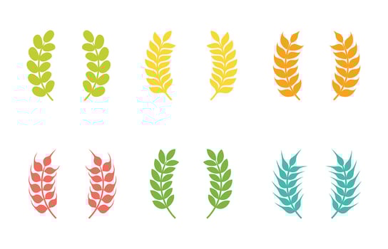 Wheat Ears Vector Icons