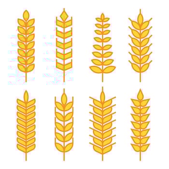 Wheat Ears Vector Icons