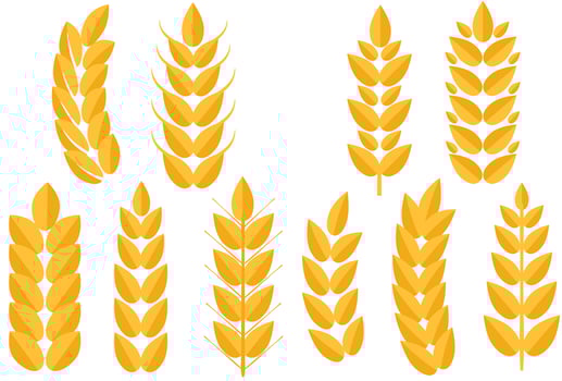 Free Wheat 2 Vectors