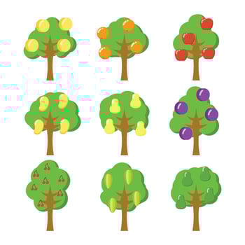 Fruit Tree Vector Icon