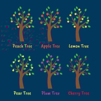Trees And Fruits Illustration Set vector