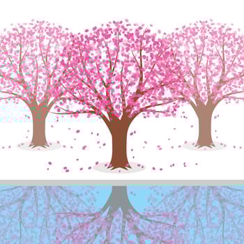 Japanese Plum Blossom Tree Illustration vector