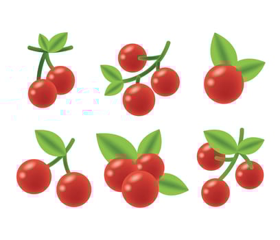 Cranberries Vector Icons