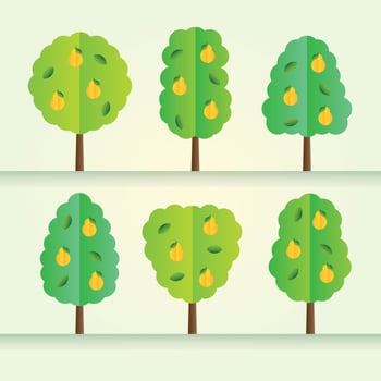 Free Peach Tree Vector
