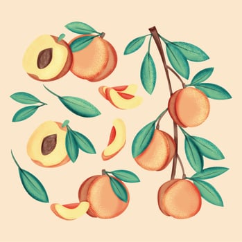 Vector Hand Drawn Peaches
