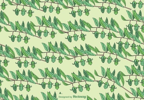 Jojoba Plant Seamless Pattern - Vector