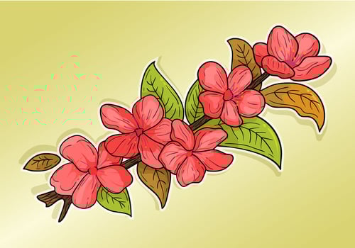 Plum Blossom Clipart vector