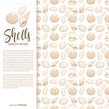 Hand Drawn Sea Shells Vector Seamless Pattern