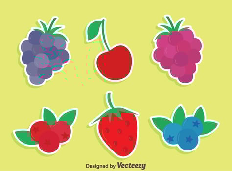 Flat Berries Collection Vector