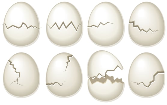 Vector Set Of Broken Egg Shells