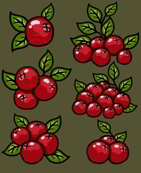 Vector Cranberry Cartoon Icon Set